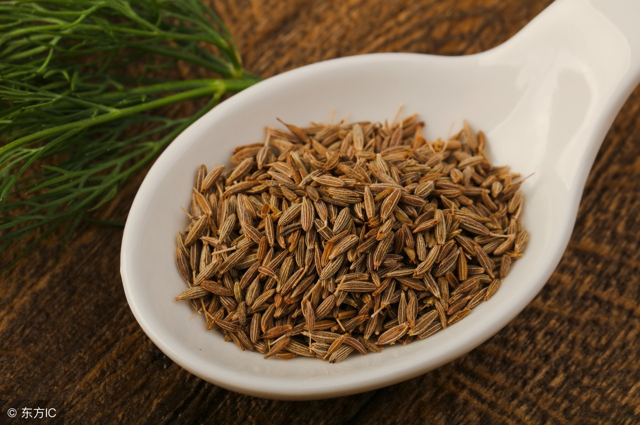 卤肉香辛料之小茴香,香辛料小茴香