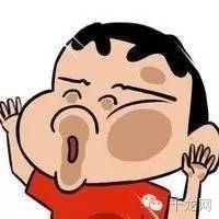 北京通有什么作用,北京通的用处