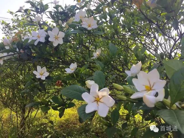 相约南溪古城夜景,相约南溪