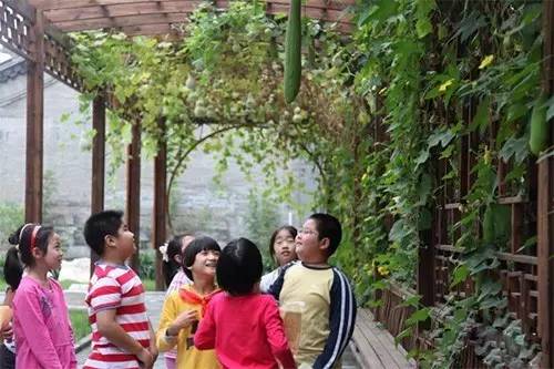 家门口的好学校越来越多,幼升小有哪些便宜私立学校