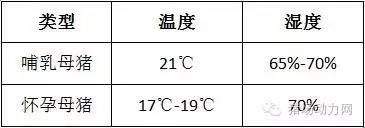技术警惕!夏季母猪产后流脓增多,需紧急预防处理