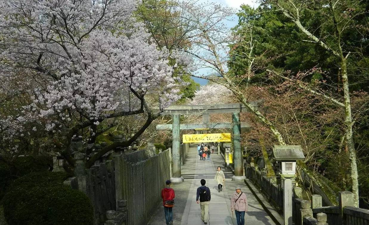 百万级帖主的“再度进击”|西日本，你不该错过这些