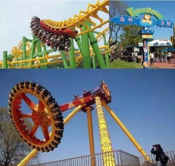 沈阳游玩攻略两天一夜带孩子,沈阳周末游玩好去处