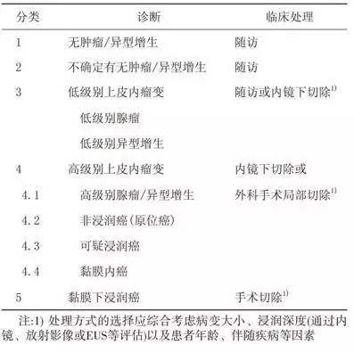 早期食管癌用内镜可以根除吗,超声内镜可以查出早期食管癌吗