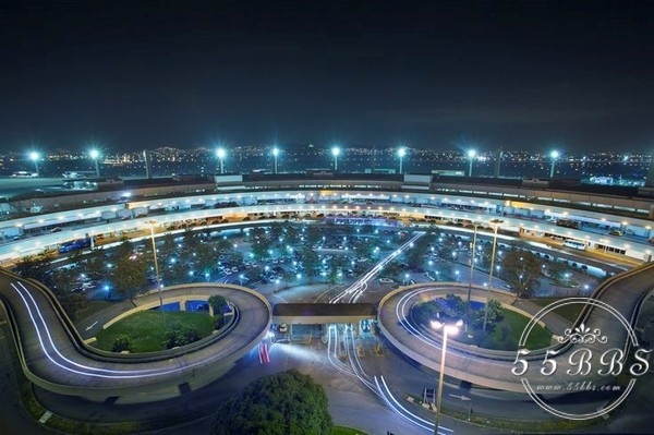 这个夏天我要去里约给内马尔生猴子