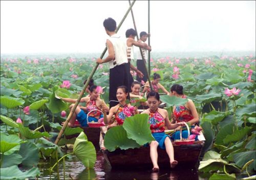 从A到Z，26个字母让你读懂微山湖红荷湿地