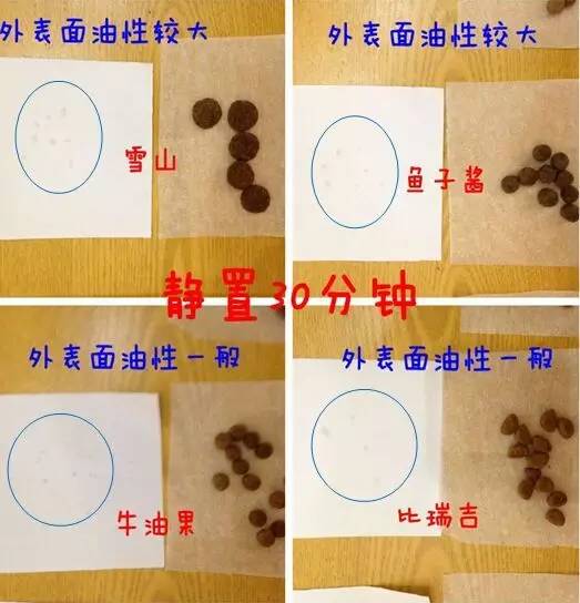 推荐几款好狗粮,2023热门狗粮测评