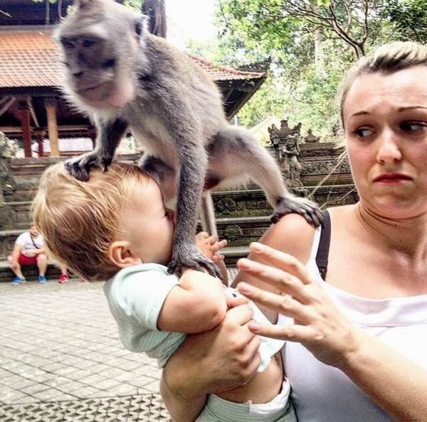 趁着产假去旅行,趁着几个月的产假好好陪娃儿