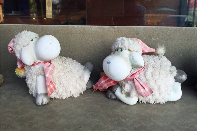 为了忘却的记忆笔记,为了忘却的记忆2013