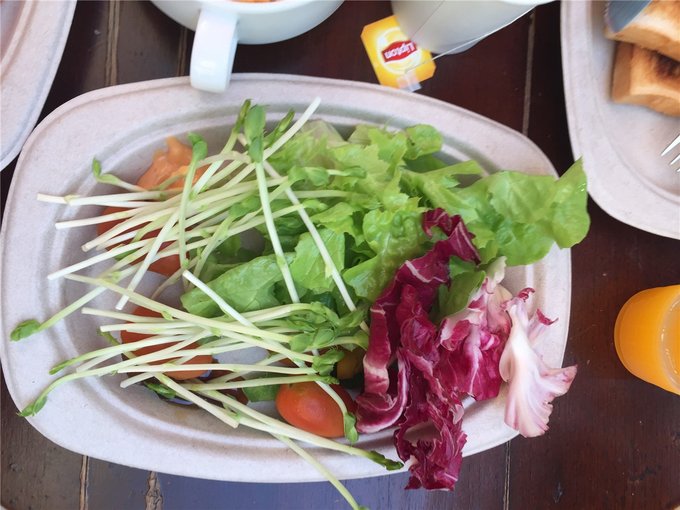 为了忘却的记忆笔记,为了忘却的记忆2013