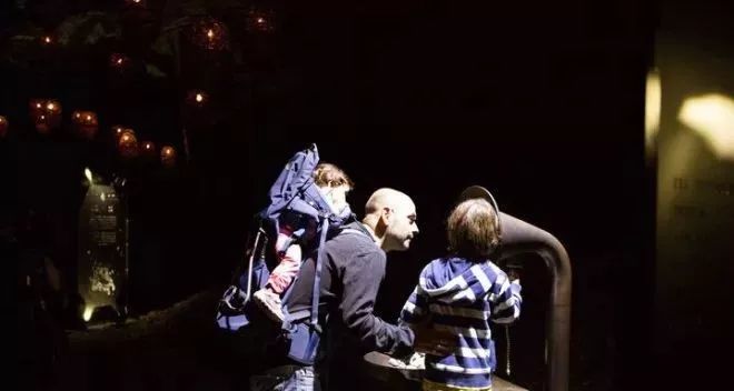 加拿大奇幻森林,加拿大魔法森林风景