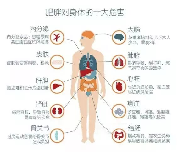 父母太胖小孩上不了学,孩子胖自卑不想上学怎么引导