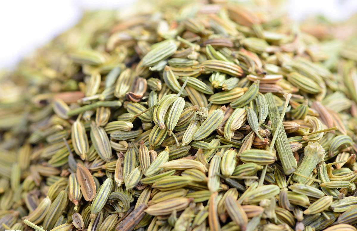 卤肉香辛料之小茴香,香辛料小茴香