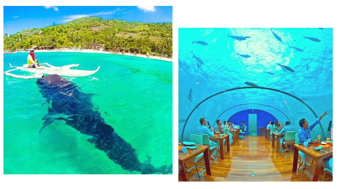 旅行收纳技巧冬季,旅行出游收纳冷知识