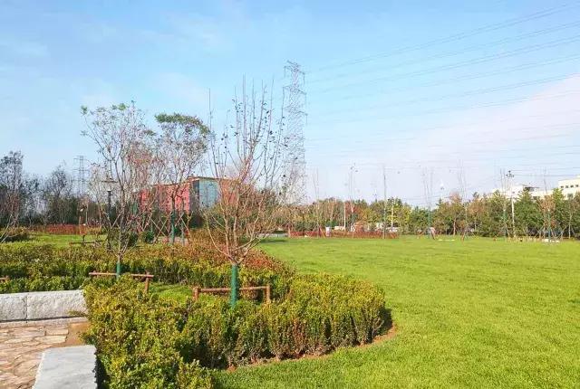 海淀后花园,海淀后花园小院