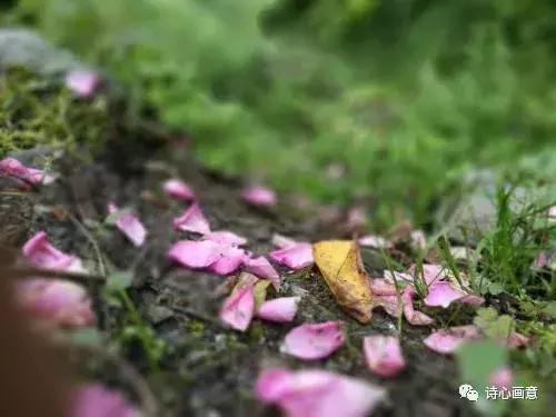 戊戌惊蛰有感：花谢花飞花满天，红消香断有谁怜？