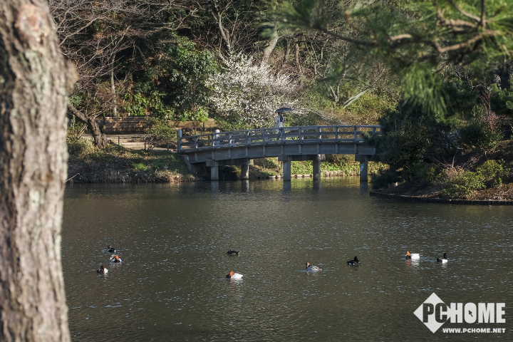 xh1富士拍夜景,x-h1富士