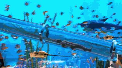 魔都又添打卡新圣地,魔都新地标