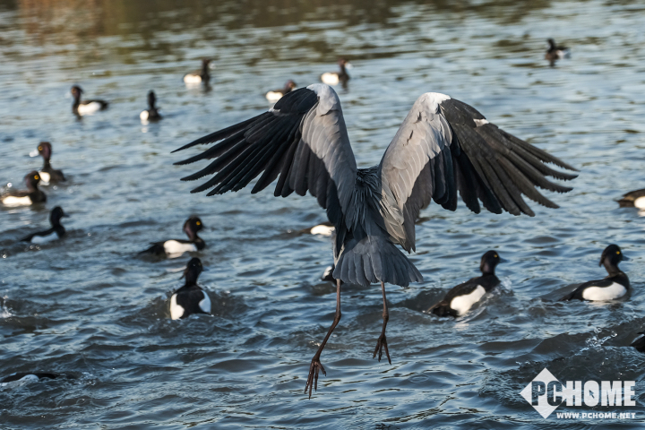 xh1富士拍夜景,x-h1富士
