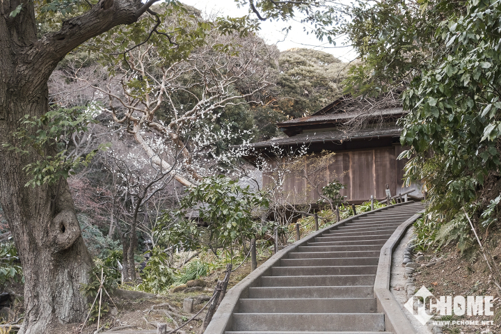 xh1富士拍夜景,x-h1富士