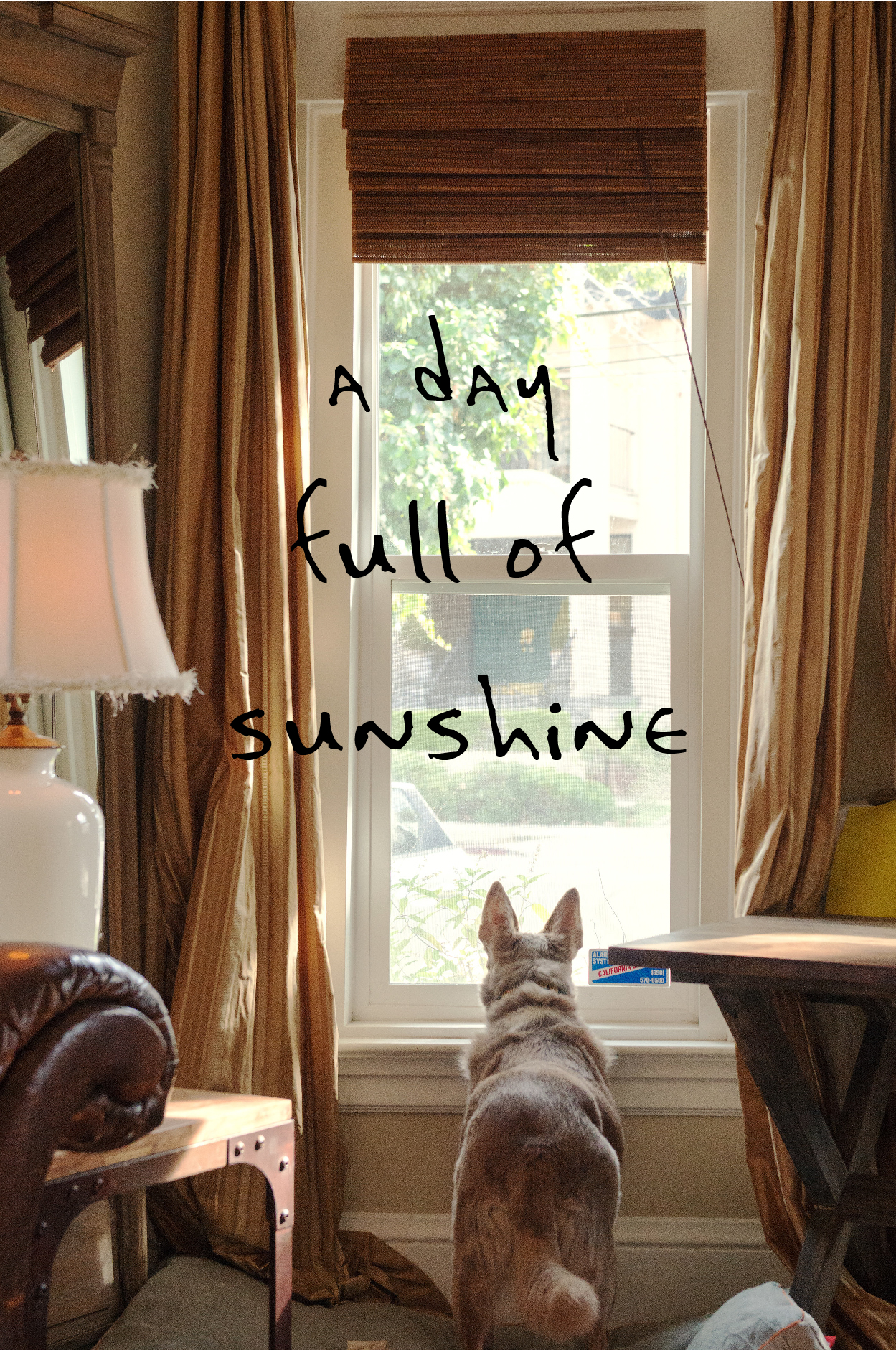 穿上春天的衣服美美哒,穿上春天的衣服