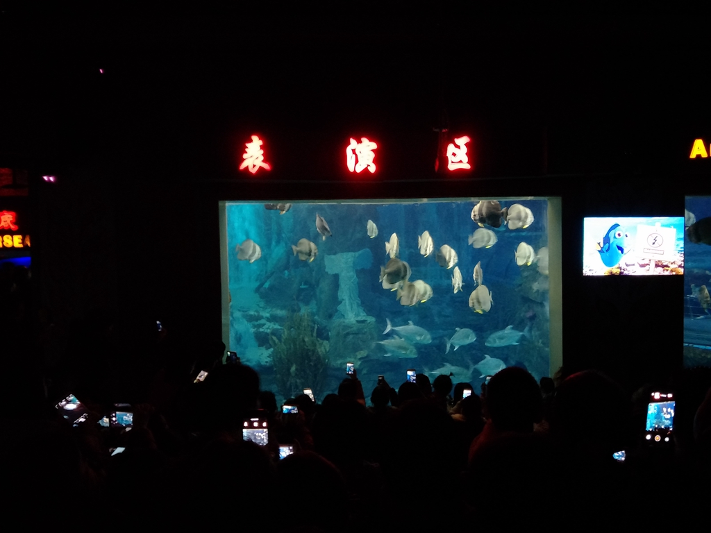 北京南到太平洋海底世界,走进太平洋海底世界视频