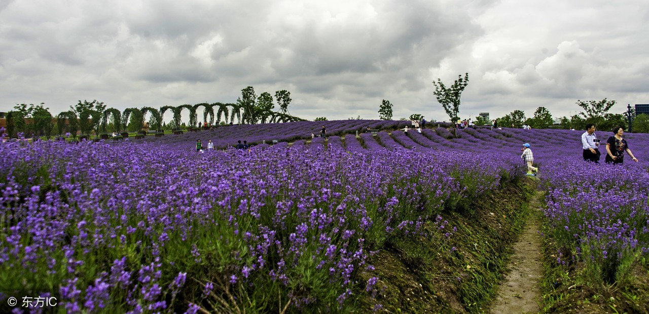 郫都区周末休闲好去处,郫都区唐昌镇有什么好玩的和美食