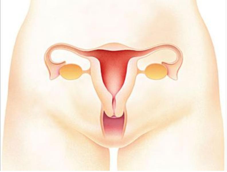 女子怀上双胞胎完整版,女子怀了双胞胎却只生下一个女儿