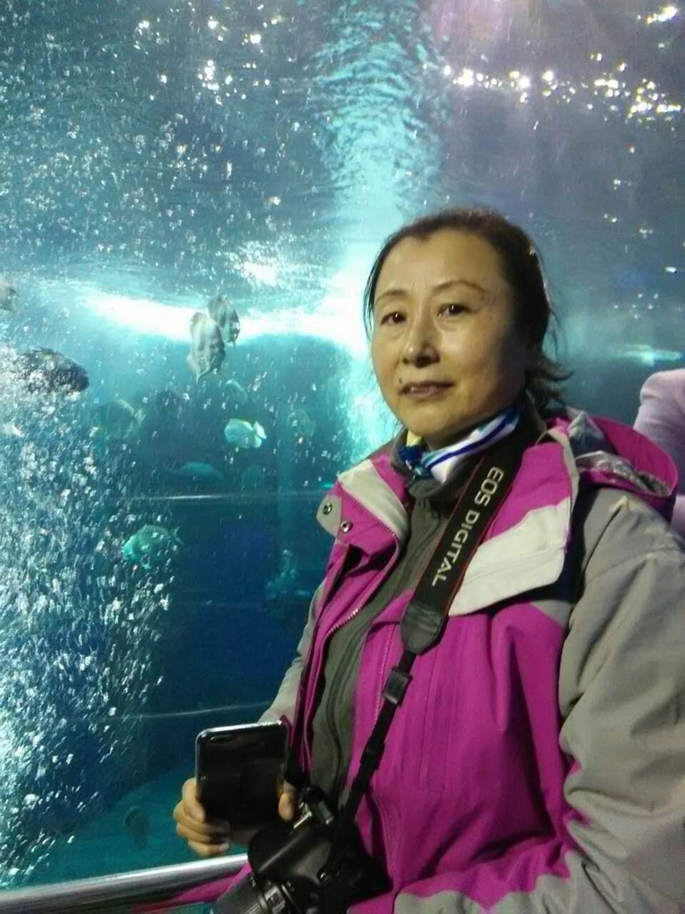 北京南到太平洋海底世界,走进太平洋海底世界视频