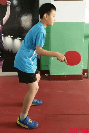 乒乓球系统训练计划明细表,乒乓球基础教练教学书籍