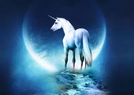 三只独角兽概念翻倍股,独角兽股票的走势