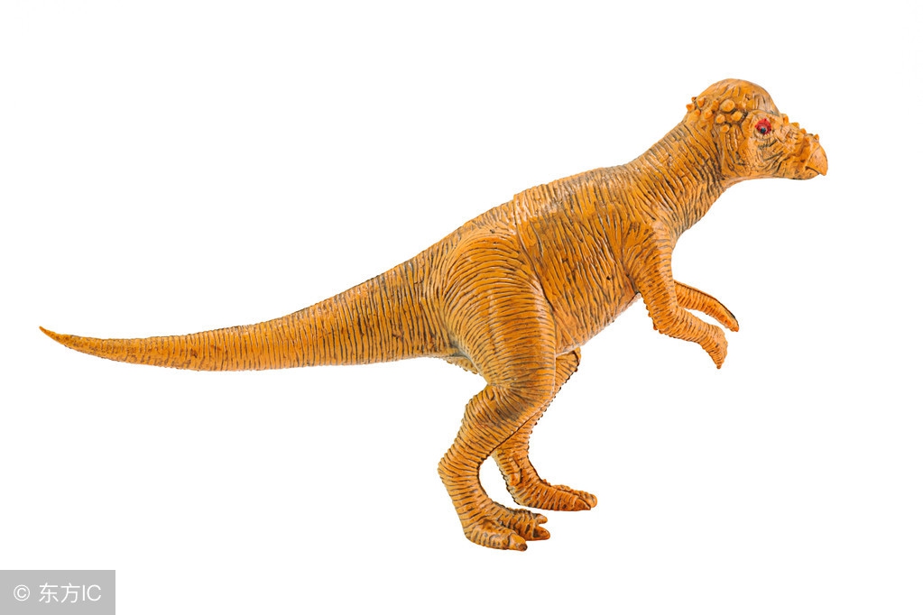 宝宝喜欢恐龙的原因 (3-6岁喜欢的恐龙)