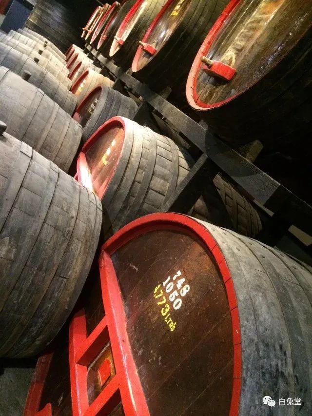 「白兔堂」可能只有不到10%的游客在澳洲玩到了这些！你玩对了吗？