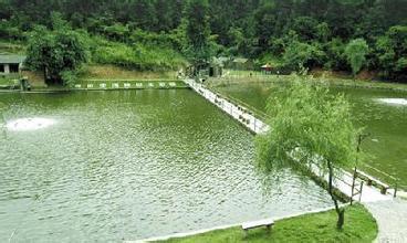 农村适合穷人的18个创业项目赚钱,农村利润很吓人10个冷门创业项目