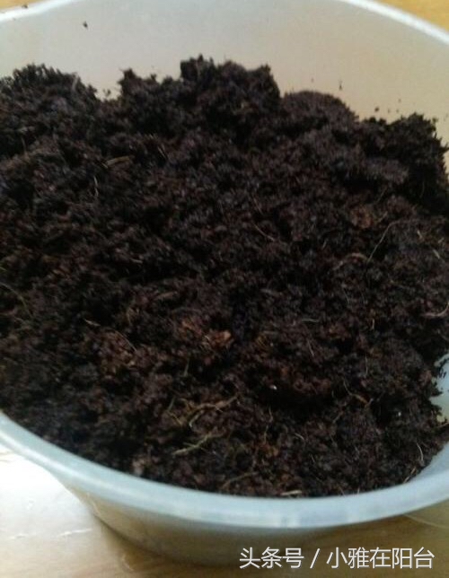 怎么给花土消毒除虫,种花前如何对花土消毒