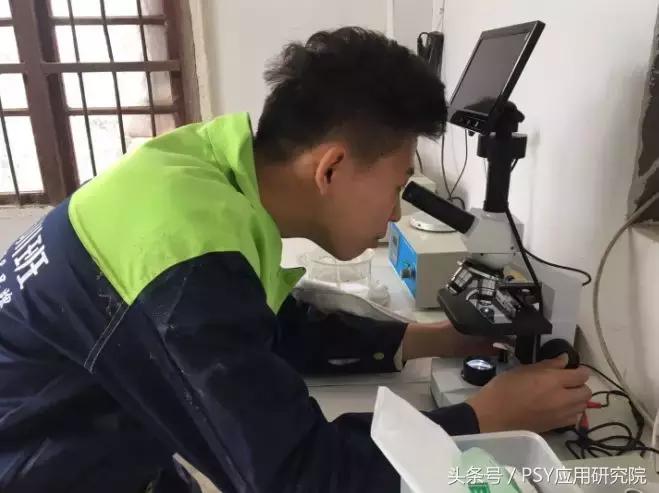 猪精子的稀释怎么算,猪精子稀释计算