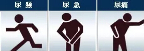 尿频尿急尿痛最常见于肾盂肾炎,肾盂肾炎尿频尿急的方法