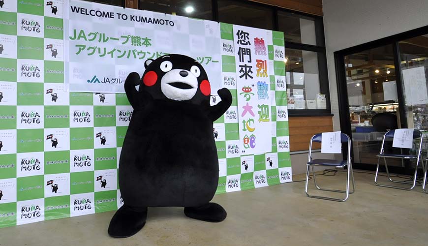 旅游熊本,熊本旅游攻略孩子