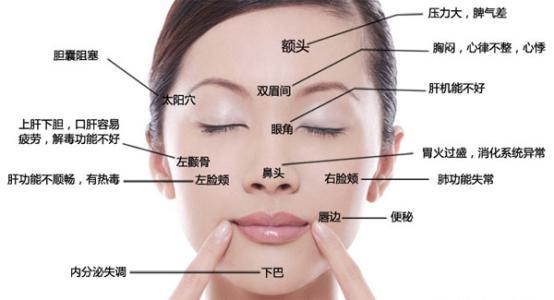 下巴总是反复长痘是哪个器官不好,脸颊反复长痘上医院看了一直不好