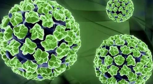 天津四价hpv疫苗预约,天津预约4价疫苗还需要做检查吗