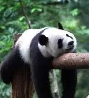 一个人怎么搬1.8米床垫,席梦思床垫怎样搬下楼