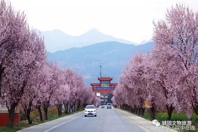 万物复苏春暖花开适合去玩的地方,花开的季节大家快来看风景