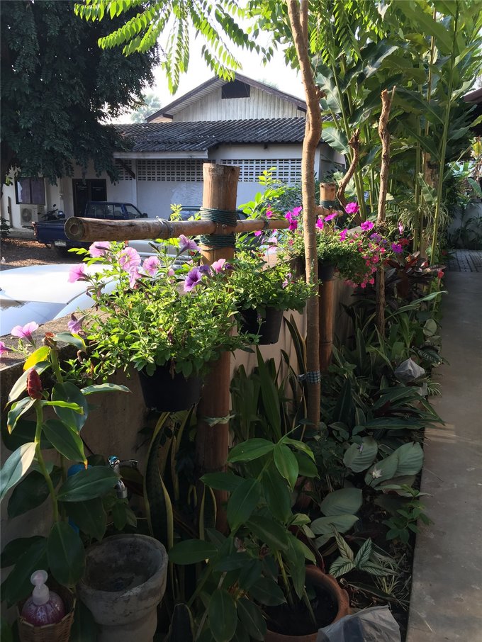 为了忘却的记忆全文,为了忘却的记忆1