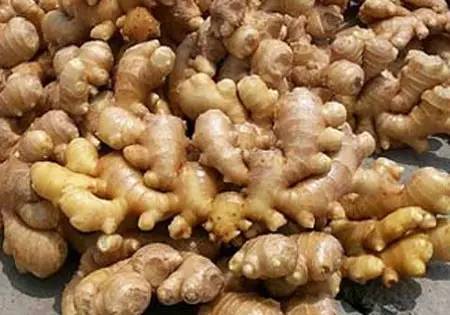 冬吃萝卜夏吃姜健康养生小妙招,冬吃萝卜夏吃姜夏天应该怎么吃姜