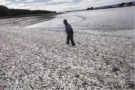 甘孜微生活新闻今天的,路况实时播报甘孜