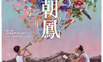 看百鸟朝凤观后感500字,听百鸟朝凤有感