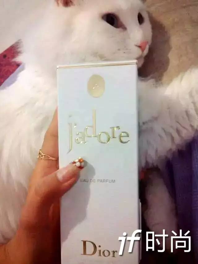 dior哪几款必买,美妆推荐好物dior