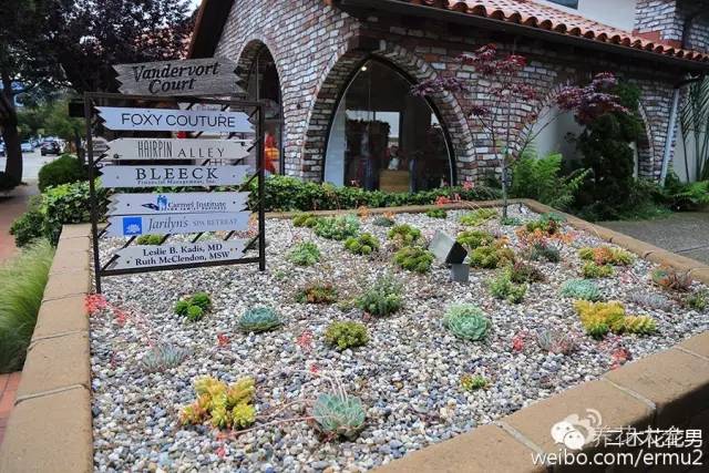 必看|台湾是中国的,多肉是世界的!