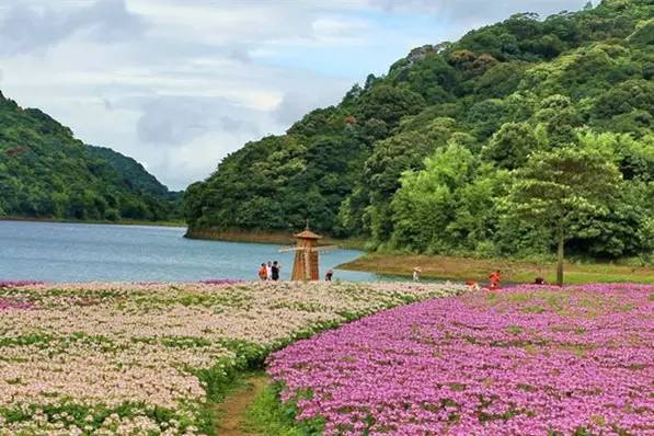 广州超5000亿元项目动工,广州各区重大投资项目2023年