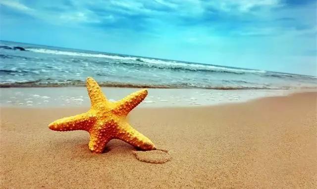 不输马尔代夫的旅游,不输三亚的地方